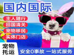 路桥空运公司国际宠物托运 【国